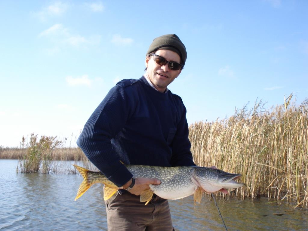 Stiucareala - dsc02087.JPG